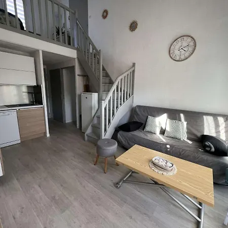 Pavillon T3 Avec Mezzanine, Parking, Piscine, Clim, Proche Et Commerces, Animaux Acceptes - Fr-1-702-31 Apartment Agde