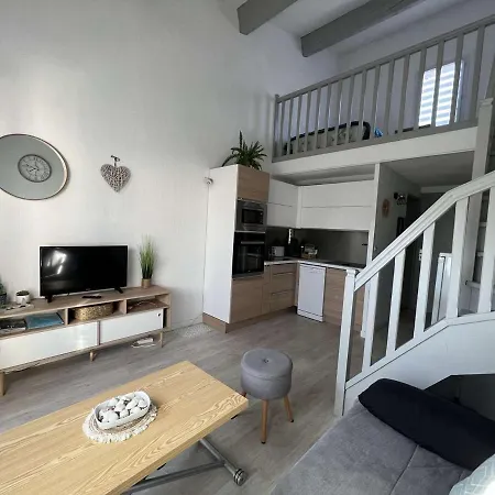 Apartment Pavillon T3 Avec Mezzanine, Parking, Piscine, Clim, Proche Et Commerces, Animaux Acceptes - Fr-1-702-31 *